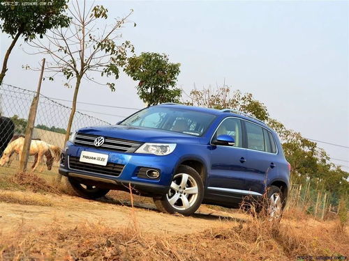 新車一日拆兩回發(fā)動機 大眾油品頑疾十年未解