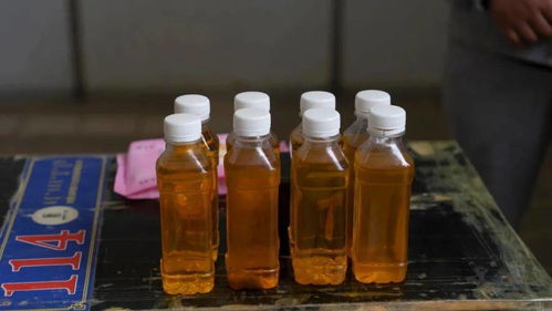 百年百藝薪火傳，文旅融合煥新篇——阿魯科爾沁旗非遺展示活動側記